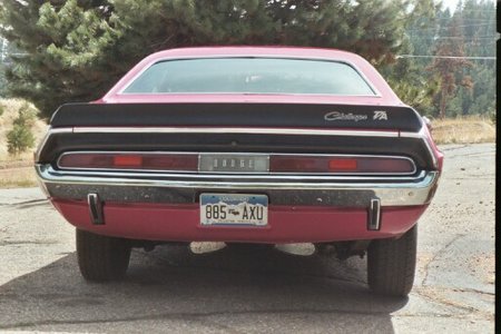 Challenger TA (rear).jpg